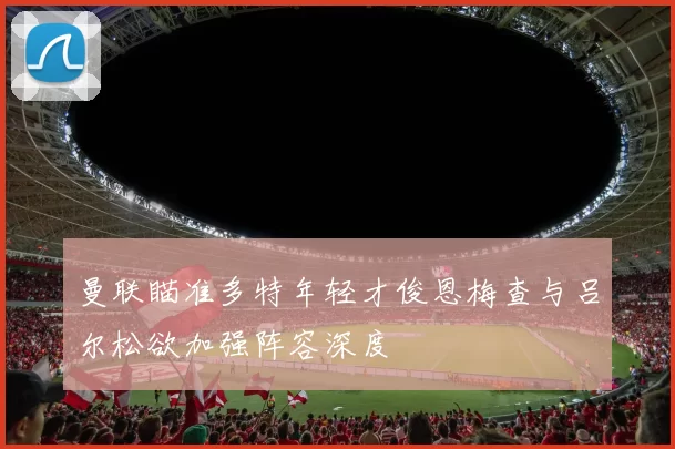 曼联瞄准多特年轻才俊恩梅查与吕尔松欲加强阵容深度