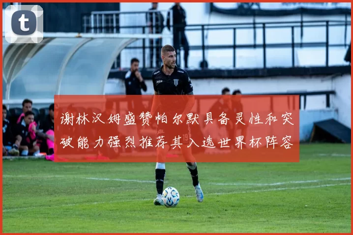 谢林汉姆盛赞帕尔默具备灵性和突破能力强烈推荐其入选世界杯阵容