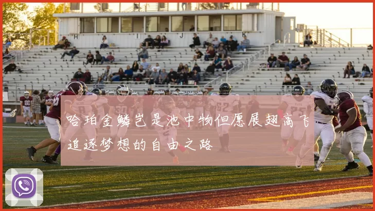 哈珀金鳞岂是池中物但愿展翅高飞追逐梦想的自由之路