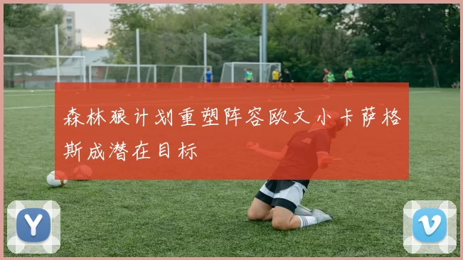 森林狼计划重塑阵容欧文小卡萨格斯成潜在目标